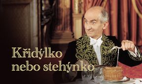 Křidýlko nebo stehýnko?
