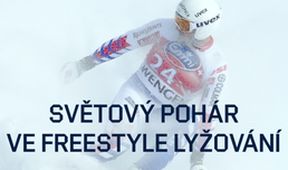 SP Švýcarsko, Freestyle lyžování