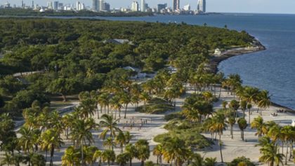 Skrytá příroda Miami