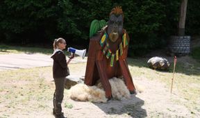 ZOO (117)