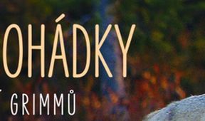 Lesní pohádky bratří Grimmů