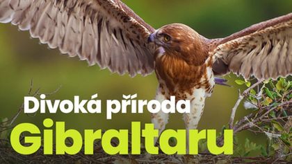 Divoká příroda Gibraltaru