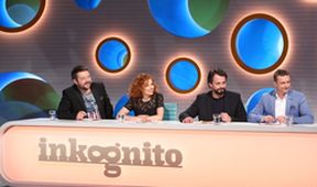 Inkognito