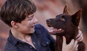 Red Dog 2