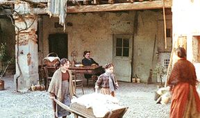 Strom na dřeváky