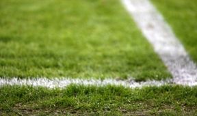 Pohár žen FAČR 2023/2024, Fotbal