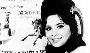 Lidé z maringotek