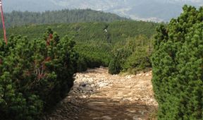 Divočina bez hranic (6)