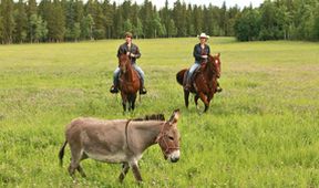 Ranč Heartland IV (5)