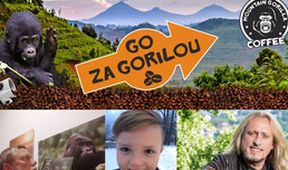 Go za Gorilou!