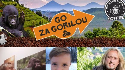 Go za Gorilou!