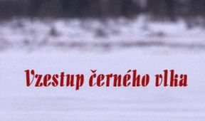 Vzestup černého vlka