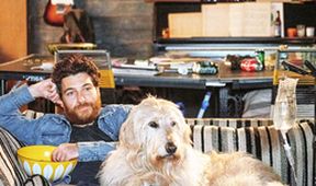Dog Days