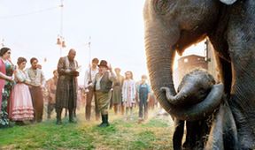 Dumbo