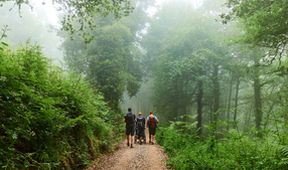 Camino na kolečkách