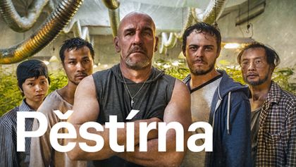 Pěstírna (1, 2, 3)