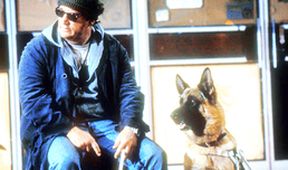 K-9: Soukromý detektiv