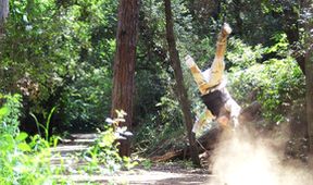 Paintball