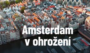 Amsterdam v ohrožení, Dokumentární klub