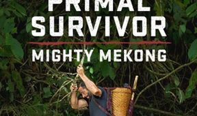 Umění přežít: Mekong (4)