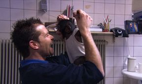 Smích jako lidská přirozenost