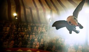 Dumbo