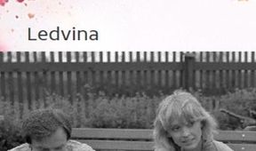 Ledvina