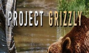 Projekt Grizzly (1)