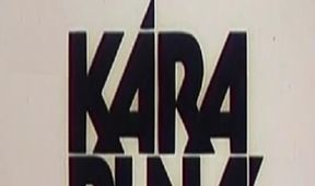 Kára plná bolesti