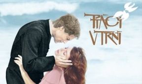 Vtáky v tŕní I (9)