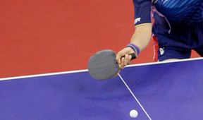 Sport v regionech: Liga mistryň ve stolním tenisu, Hodonín