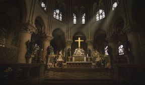 Katedrála Notre Dame a její stavitelé