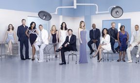 Grey's Anatomy XVI (10)