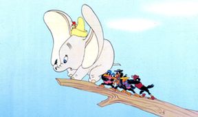 Dumbo