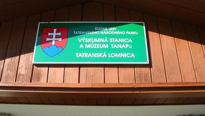 Návraty k divočině