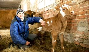 Farmář hledá ženu - Návraty