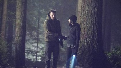 Arrow III (14)