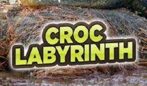 CROC Labyrinth