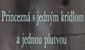 Princezná s jedným krídlom a jednou plutvou