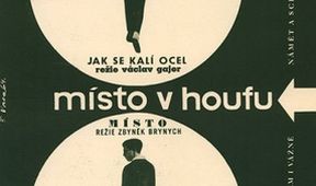 Místo v houfu