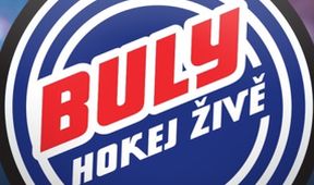 Rytíři Kladno - PSG Berani Zlín, Hokej