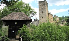 Divočina bez hranic (1)