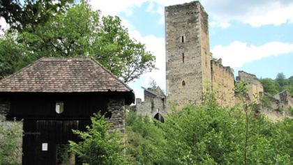 Divočina bez hranic (1)