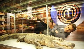 MasterChef Junior III (3/8)