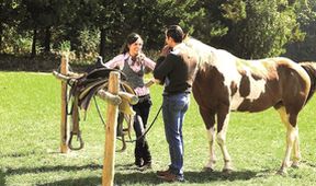 Westernstory