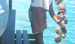 Ostrovy snů: Bora Bora