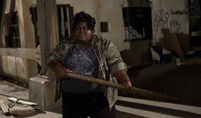 American Horror Story: Coven (8)