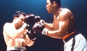 Cassius Clay