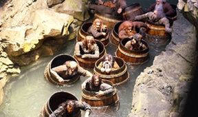 Hobit: Šmakova dračí poušť
