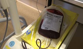 Příběhy moderní medicíny - Tajemství krve